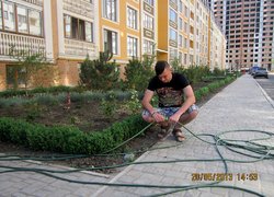 Екскурсія до створеного об’єкту з озеленення та благоустрою території двору багатоповерхового житлового будинку в м. Одеса